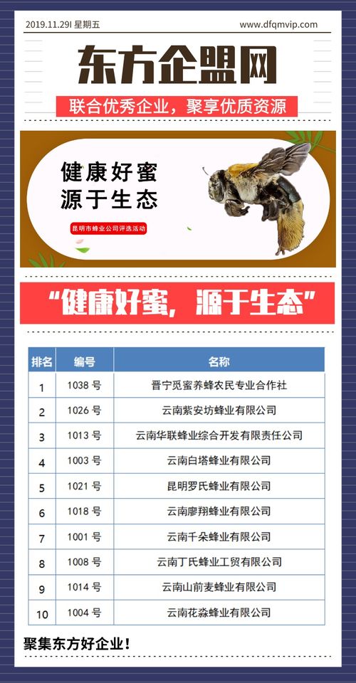 健康好蜜，源于生态——昆明市蜂业公司评选活动信息技术咨询服务方案